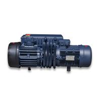 Вакуумный насос V0100 (HM), в сборе с двигателем, 100 м³/ч, 380 В, для DZ, HVC, HVT