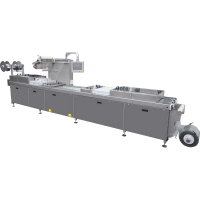 Термоформовочная машина DZDL-320