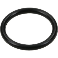 Кольцо уплотнительное 0482000106 BUSCH 55*2 Viton