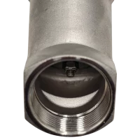 Клапан запорный седельный с пневмоприводом G1 1/2